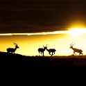 Paysages - Landscape